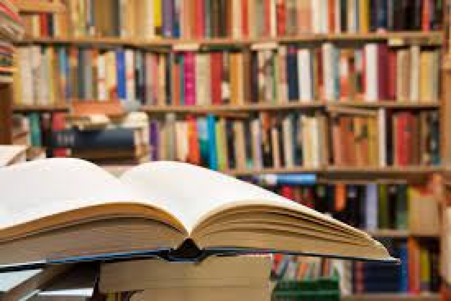 Top 10 books that will positively influence your life