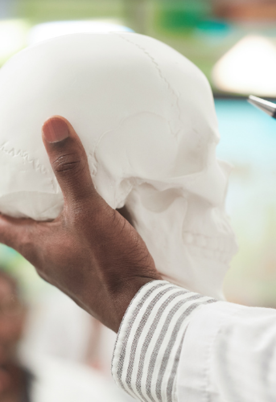 Fundamentals of Skull Anatomy for Aesthetic Physicians